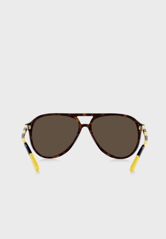 Brown Men’s Ralph Lauren 0Ph4173 Clubmaster Sunglasses