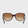 Brown Women’s Ralph Lauren 0RA5160 Butterfly Sunglasses Brown Women’s Ralph Lauren 0RA5160 Butterfly Sunglasses