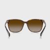 Brown Women’s Ralph Lauren 0Ra5293 Wayfarer Sunglasses