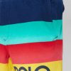 Multicolor Men’s Ralph Lauren Color Block Shorts